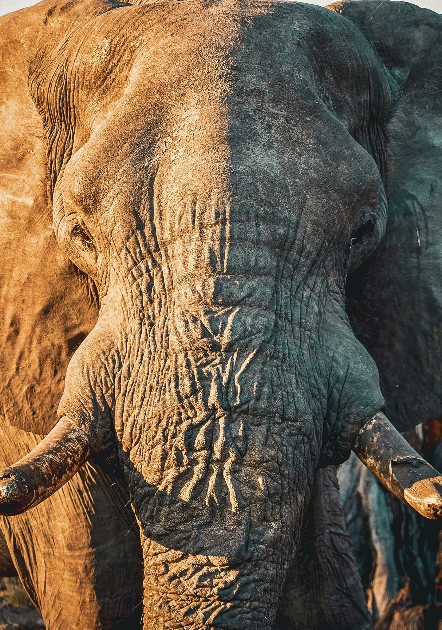 DSC_0888 copy 2-2.jpg