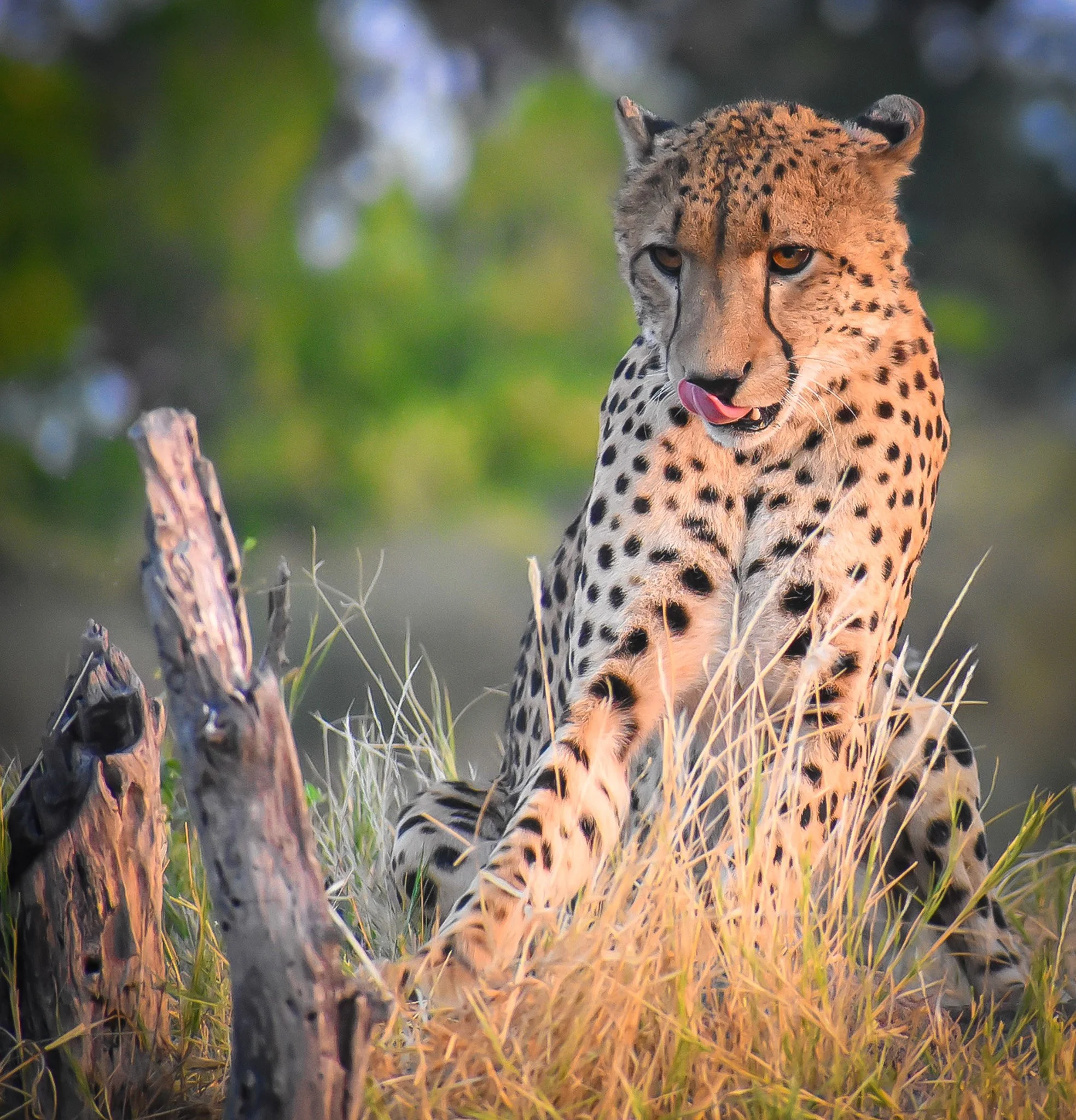 DSC_0845 copy-2-2.jpg