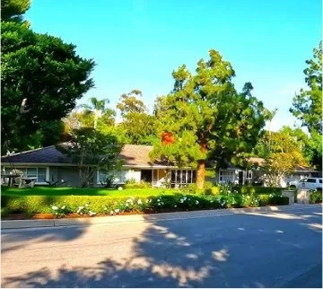 A street view with a single-story house surrounded by trees, a well-maintained green lawn, and a parking lot, under a clear blue sky.