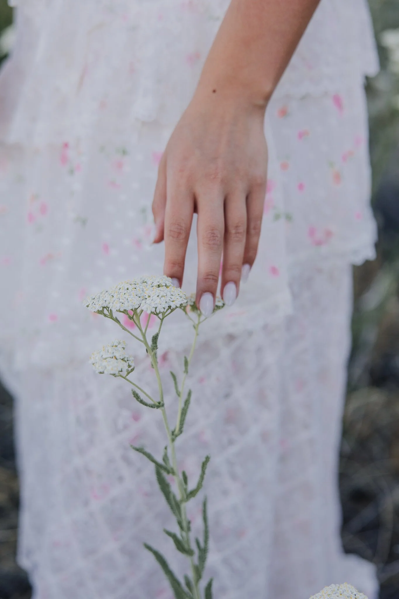lake-chelan-senior-photographer-wildflower-detail-06.jpg
