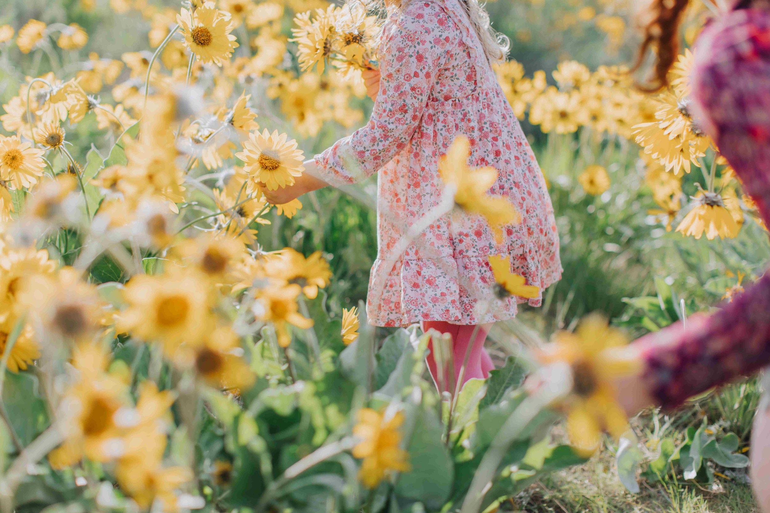 Children in a garden of yellow flowers, one child in a pink floral dress and pink tights reaching for the flowers.