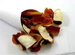 Chen Pi – Citri Reticulatae herb.