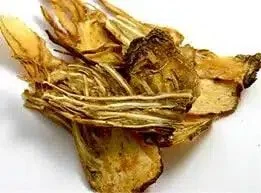 Dong Gui – Rx Angelicae Sinensis herb.