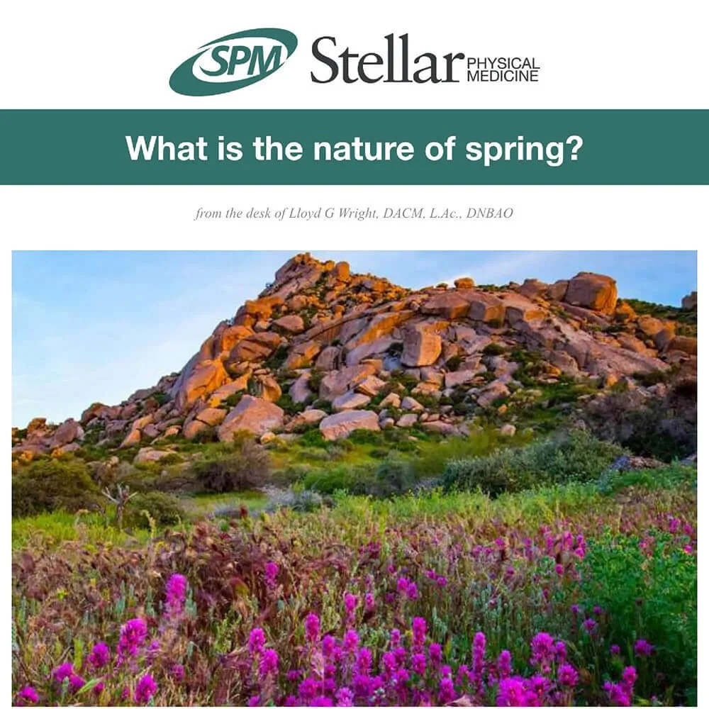 A rocky hillside with pink and purple wildflowers in the foreground under a clear sky.