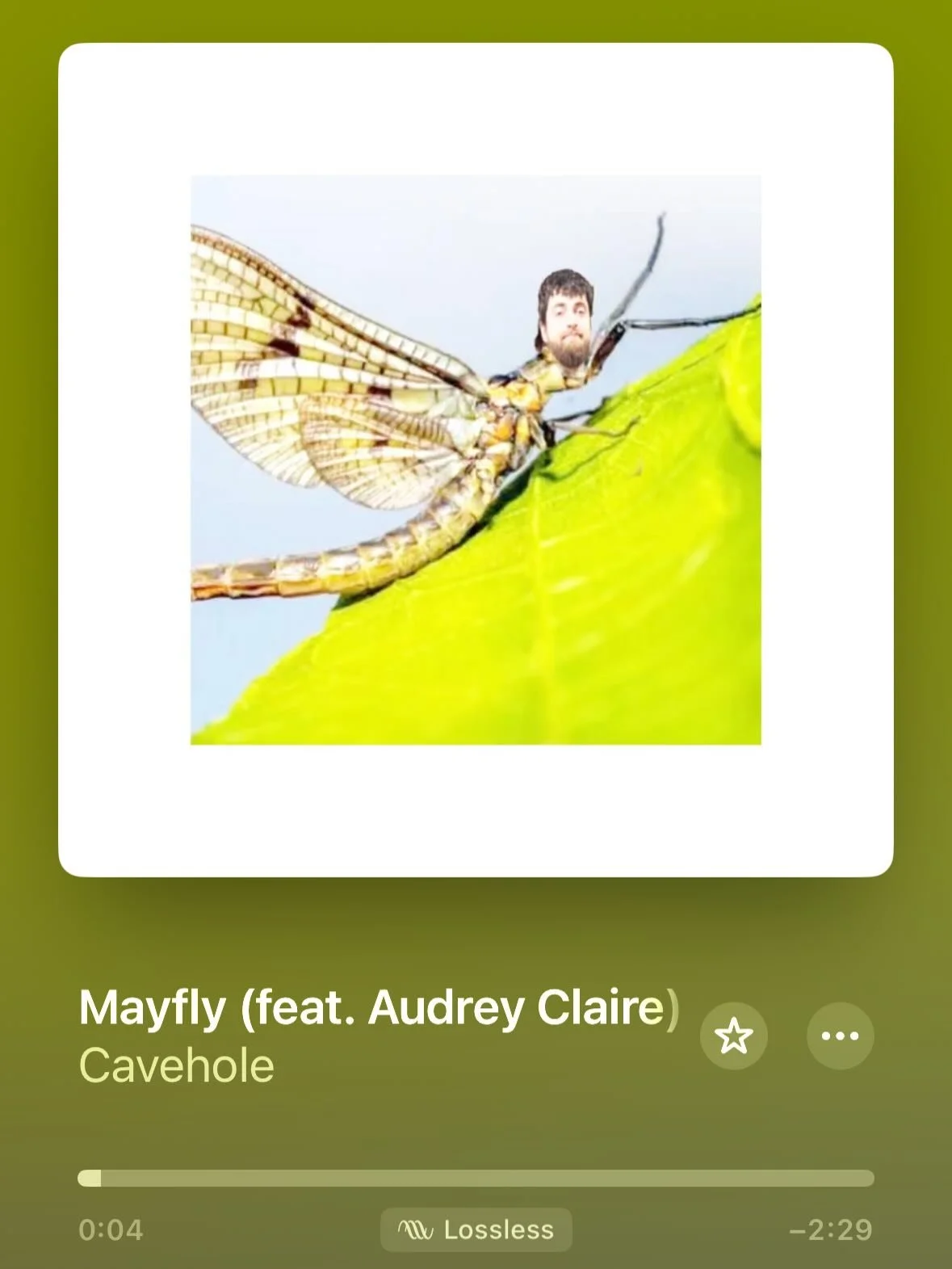 New release day! Mayfly is one of the most unique songs I&rsquo;ve worked on and I&rsquo;m incredibly proud of what we were able to accomplish!

Many thanks to @caveholetheband for trusting me with their music, and @wiilmeckley for making it happen a