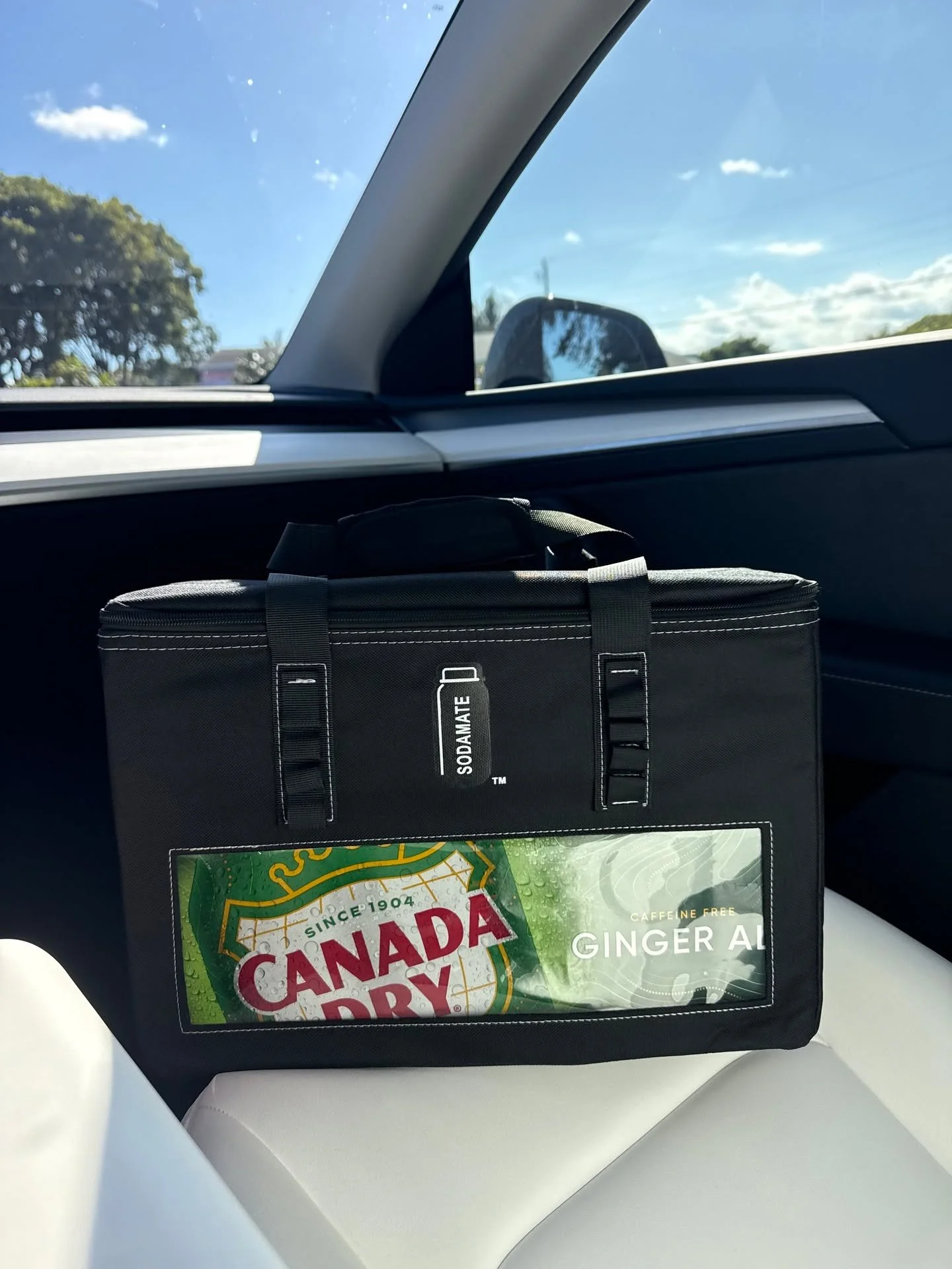 Shown for size reference &mdash; fits any standard 8oz. 12-pack canned soda box. SodaMate&trade; Bag keeps your boxes intact and easy to carry from car to cabin.

#SodaMate #CruiseTips #CruiseEssentials #TravelHacks