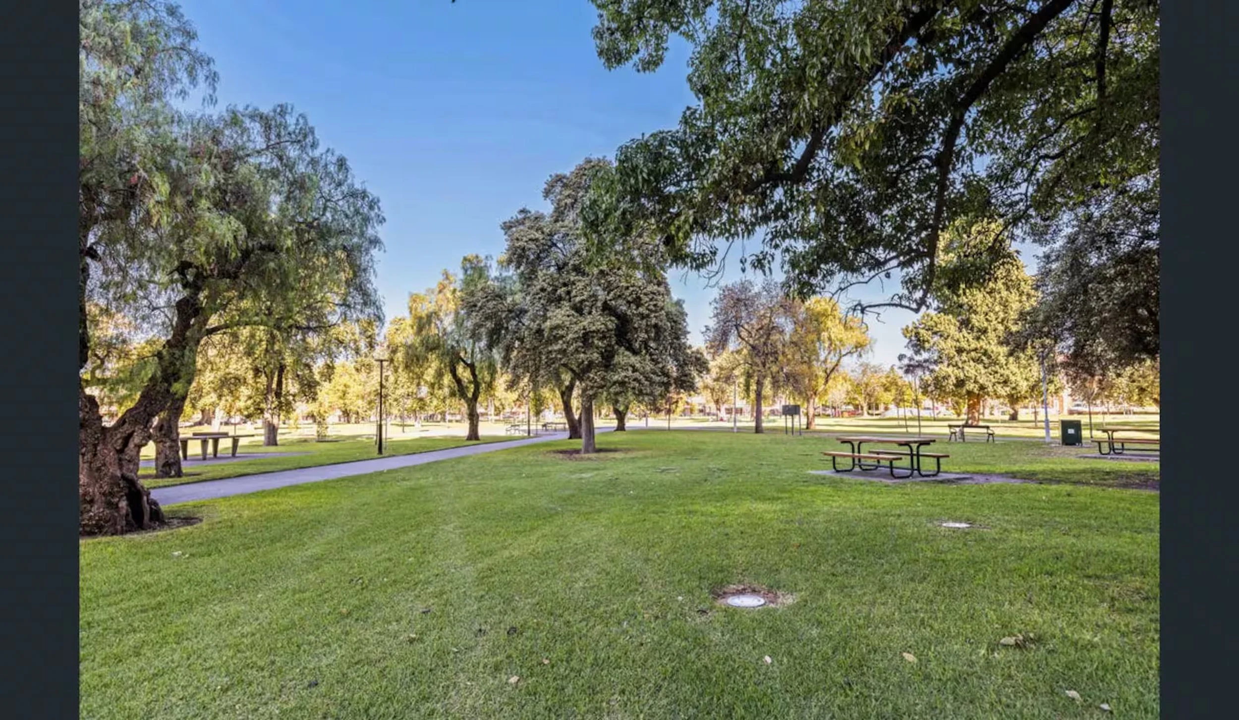 A park with green grass, trees, walking paths, benches, and a trash can under a clear blue sky.