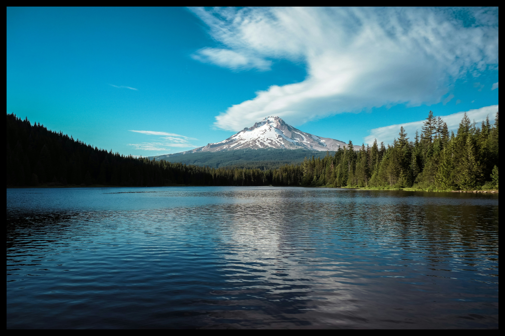 Lucid News: Oregon’s Psilocybin Program — Industry Insiders Weigh In On Closures and the Future