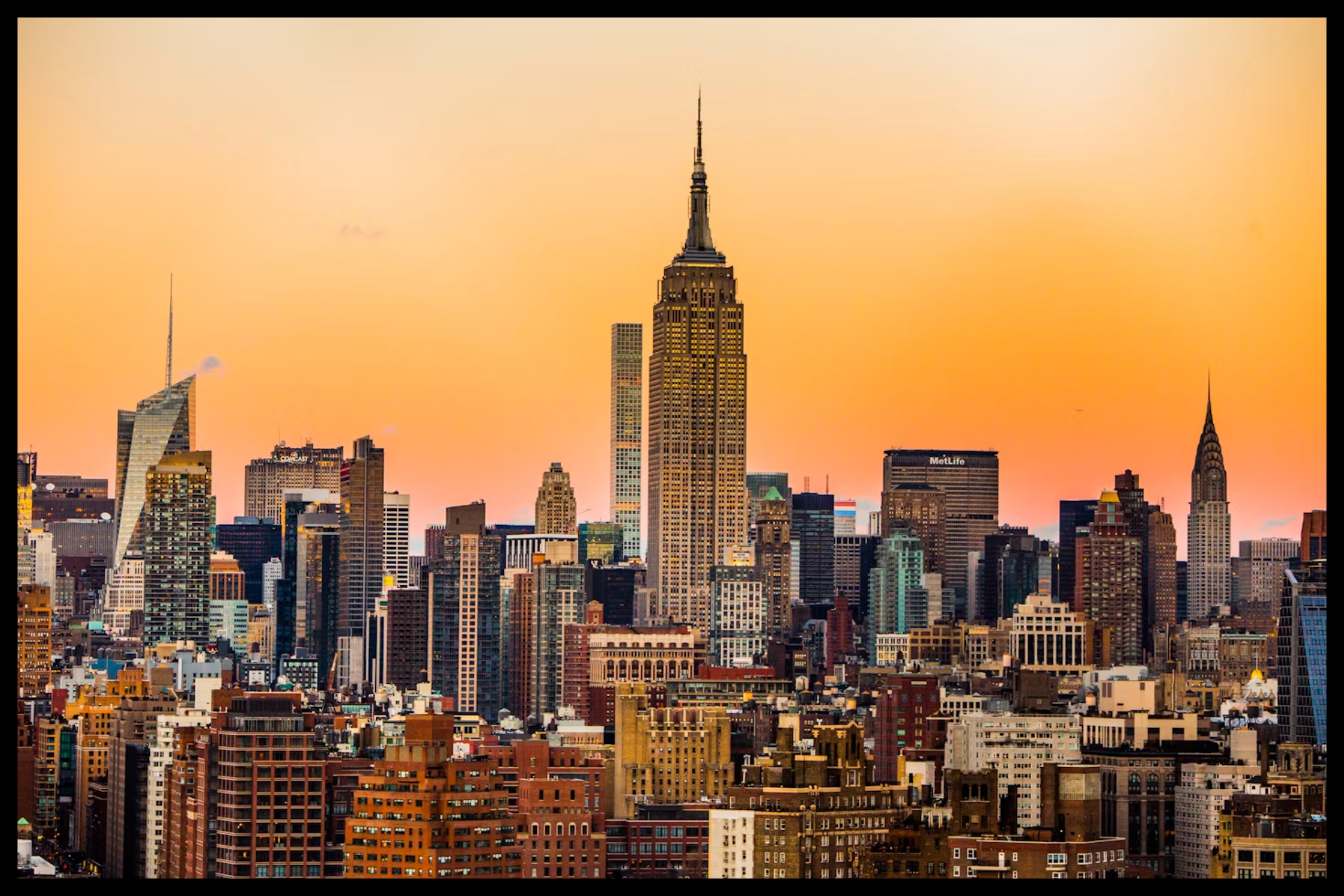 DoubleBlind: Is New York About to Become a Medical Psilocybin Pioneer?
