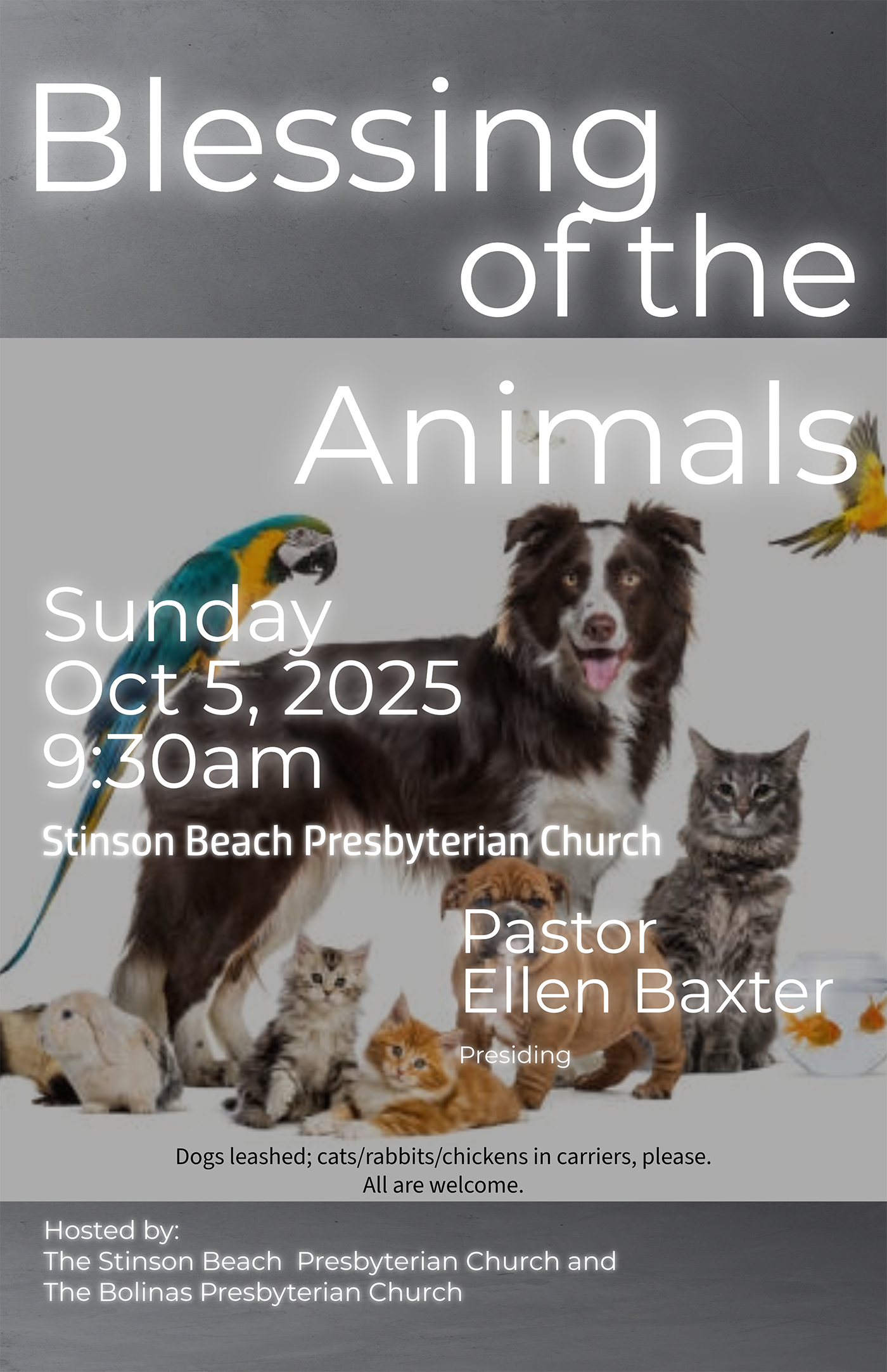 Blessing of the Animals