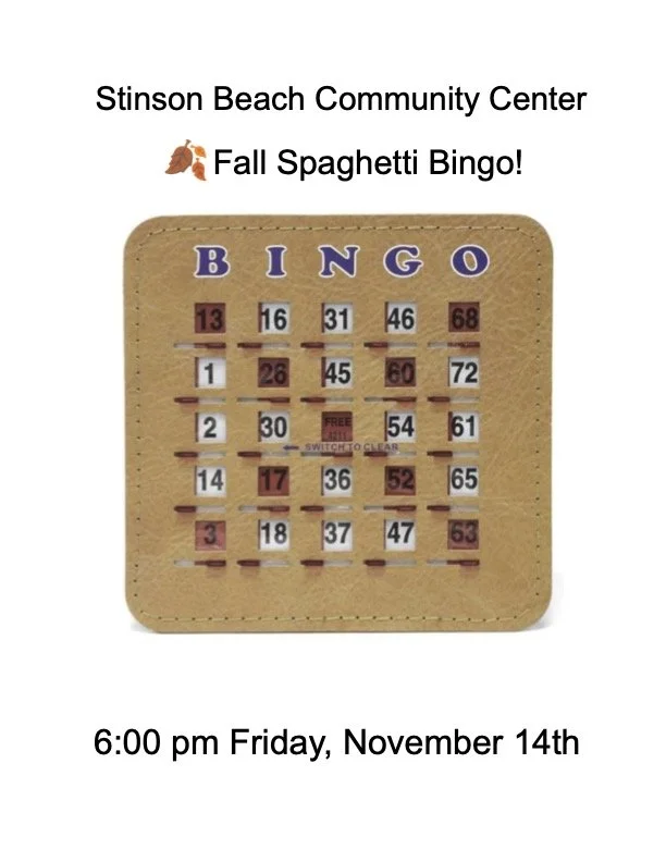 Spaghetti Bingo!