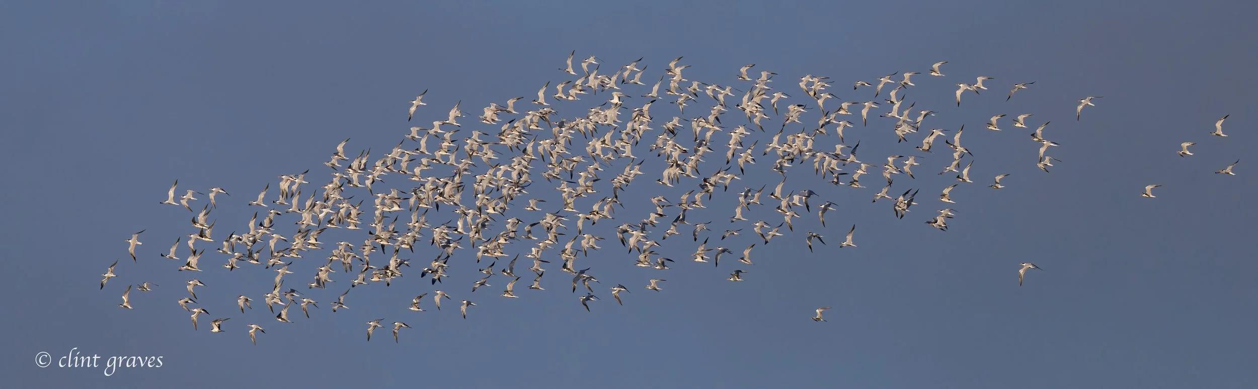 @ Clint Graves, used by permission