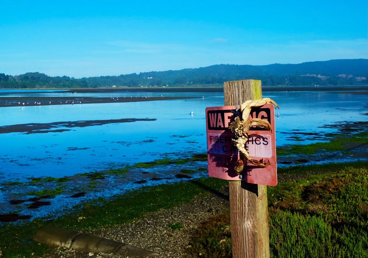 © Craig Thigpen, used by permission