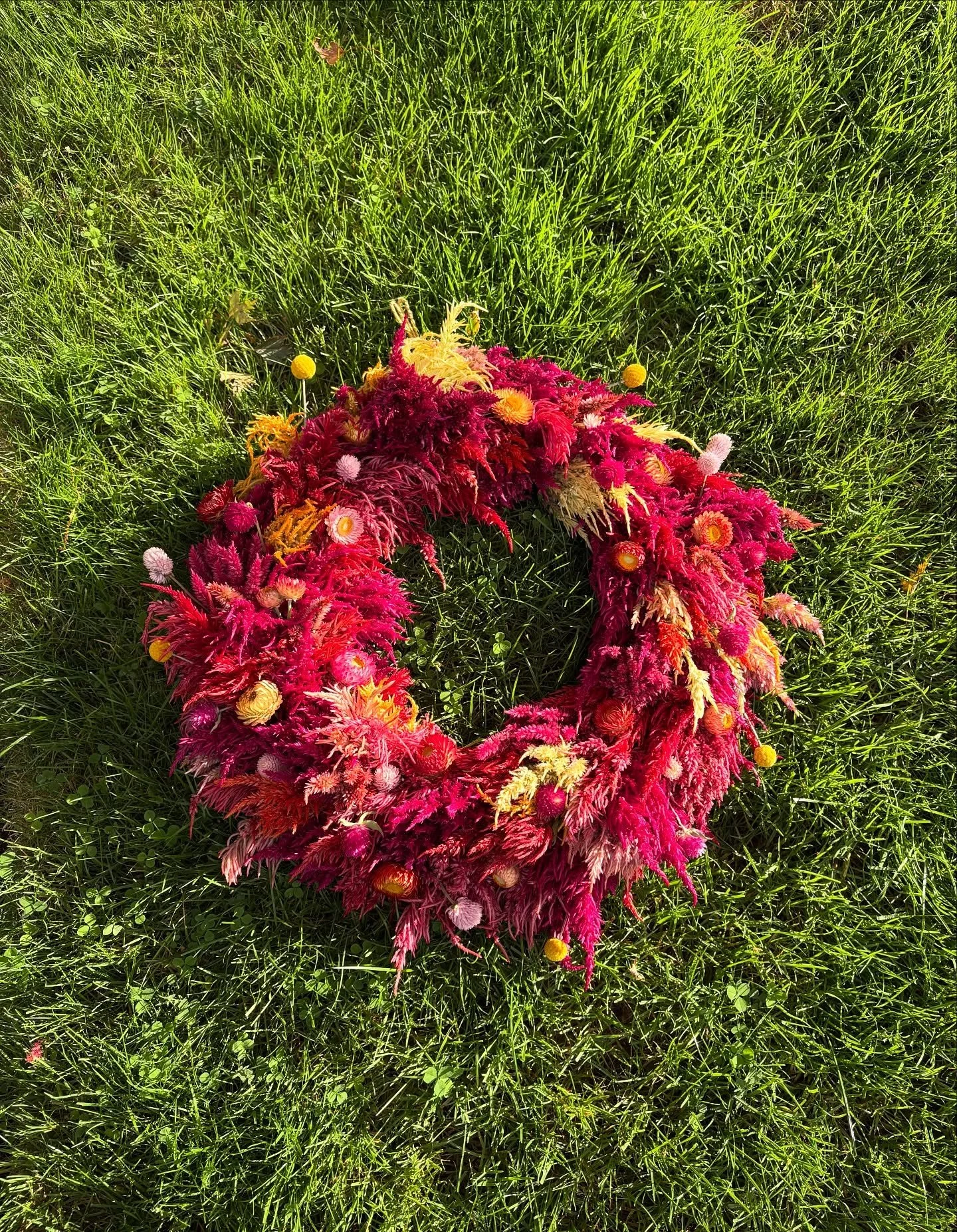 Fuzzy rainbow unicorn wreath made of celosia, strawflower, gonphrena and craspedia. 
DM me to purchase or with any questions. 
💓
I love making wreaths and I will have more and more coming. This is the first wreath of the season. *These celosia will