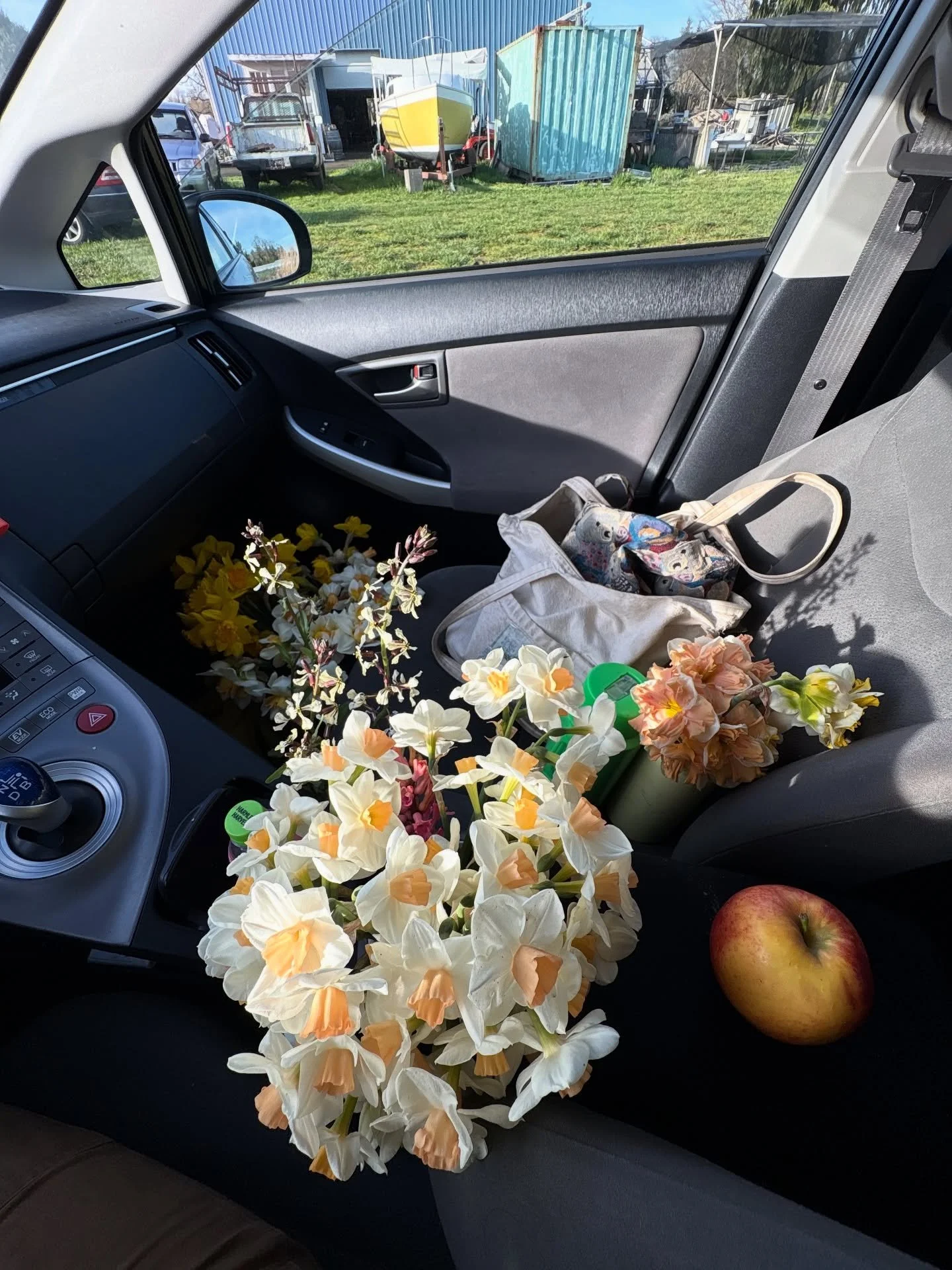🌼2025🌼 almost a full year of packing my Prius full of flowers. I do love I did love and I am excited to do it again in 2026.