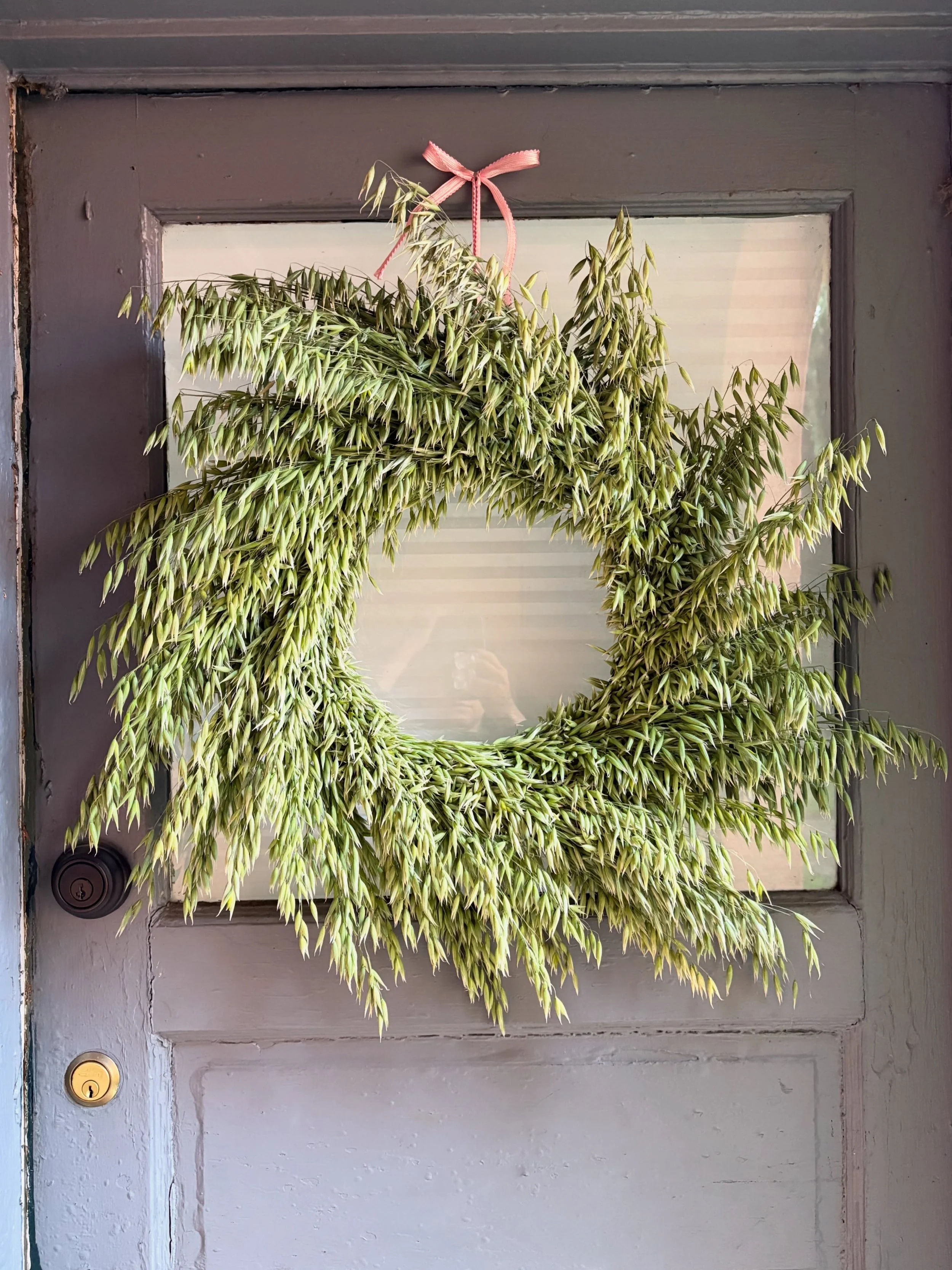 ✨Milky Oat wreath. These oats were volunteers that grew around my daffodil, tulips and ranunculus. I thought why not let them grow and hang out a while and now  I&rsquo;m obsessed with this wreath. 
I gave it to the milky oat queens, AD and Jolene.