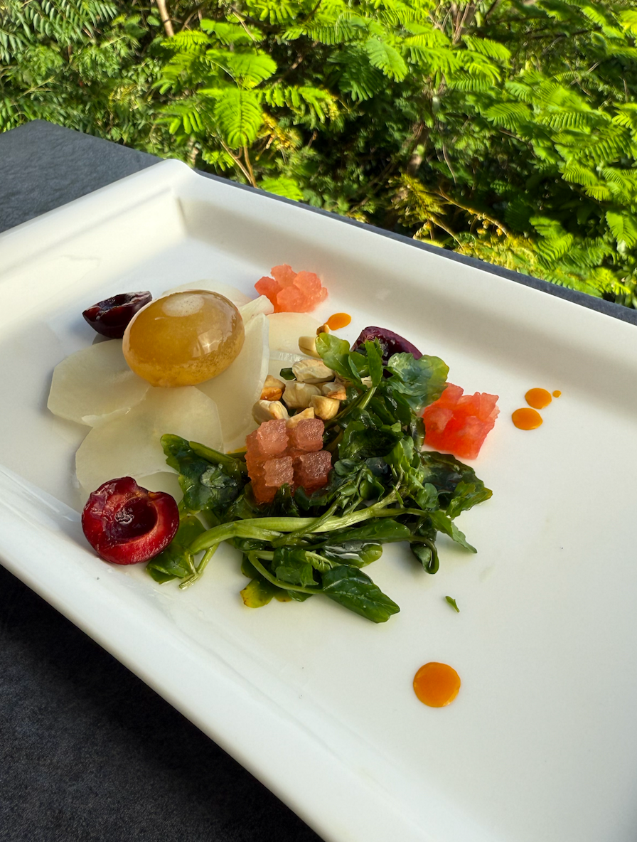 A white rectangular plate with assorted small portions of food including a boiled egg, cherry tomatoes, greens, and small garnishes, set against a backdrop of green foliage.