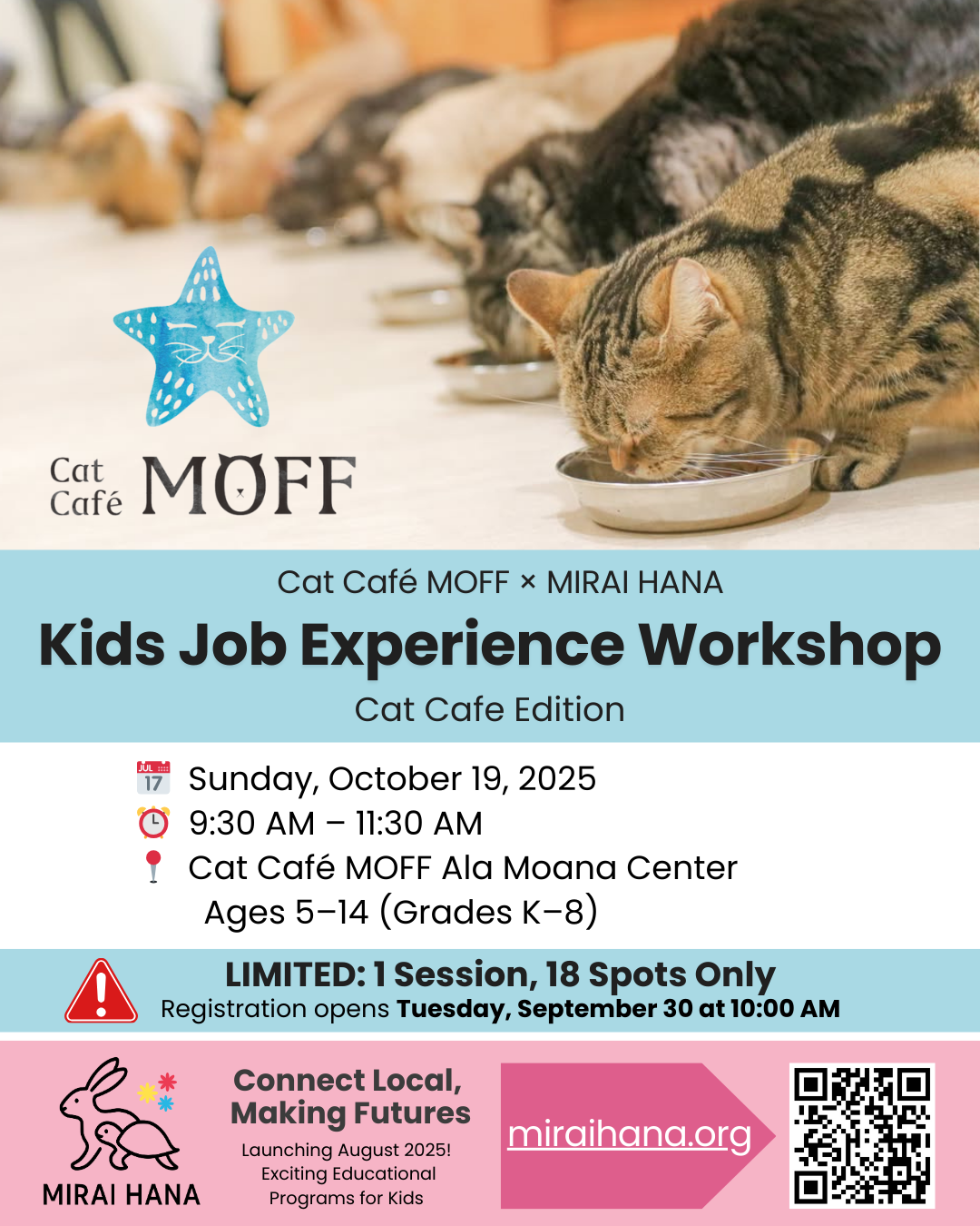 #007. Cat Café MOFF - Kids Job Experience: Cat Cafe Edition