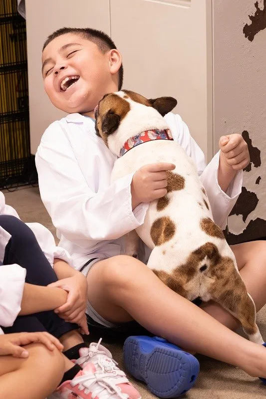 Yesterday, our kids stepped into the world of a real animal hospital at Aliʻi Animal Hospital 🩺🐶🐱
@aliianimal 

They became junior veterinarians for the day &mdash;
learning how to care for animals, trying suturing, examining tummies,
and discover