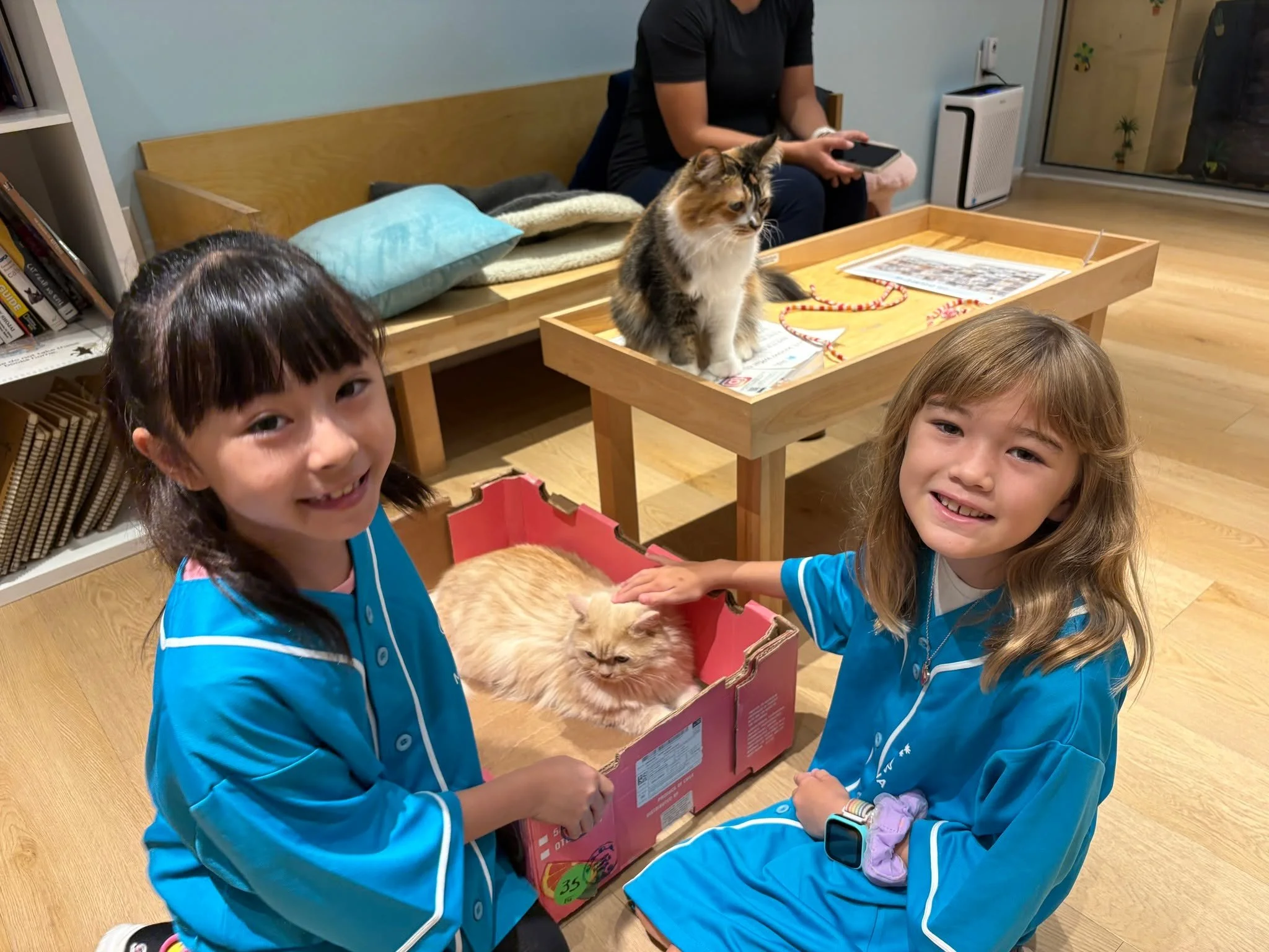 🐱✨ Kids&rsquo; Voices &ndash; Cat Caf&eacute; Manager Edition ✨🐱
@catcafemoff.alamoanacenter 

After stepping into the role of Junior Cat Caf&eacute; Managers at Cat Caf&eacute; MOFF, the children reflected on what they enjoyed, learned, and would 