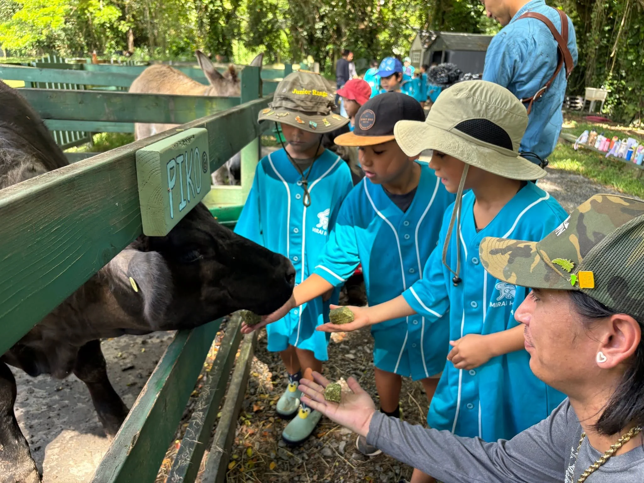 🐴🌿 Kids&rsquo; Voices &ndash; Ranch &amp; Animal Care Edition 🌿🐴
Kualoa Ranch Education Center &times; MIRAI HANA
@kualoa.ikekaiaulu

After spending the morning learning about ranch and animal care at Kualoa Ranch, the children reflected on their