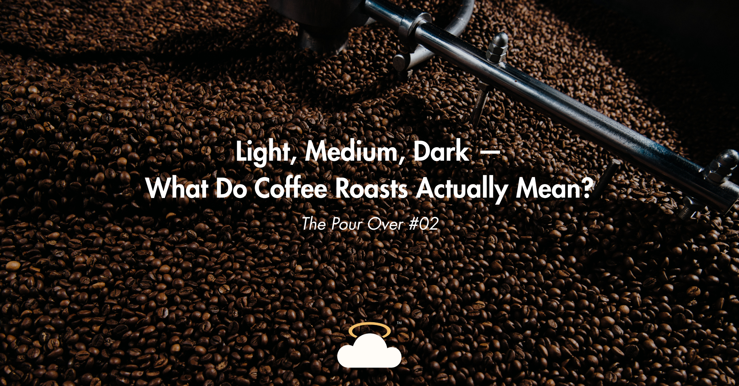 Copy of Untitled Design 2.PNG