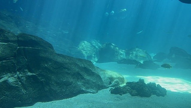 F17A5B83-6EC1-466E-BC70-72638E76D721_4_5005_c.jpeg