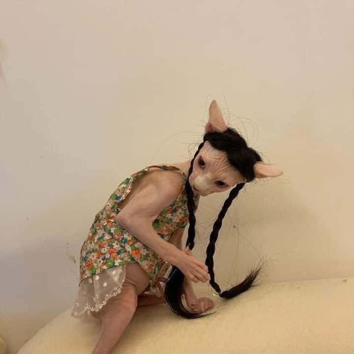 F9DC76A4-42D1-49F5-ABDD-661EDB8A05A7.jpeg