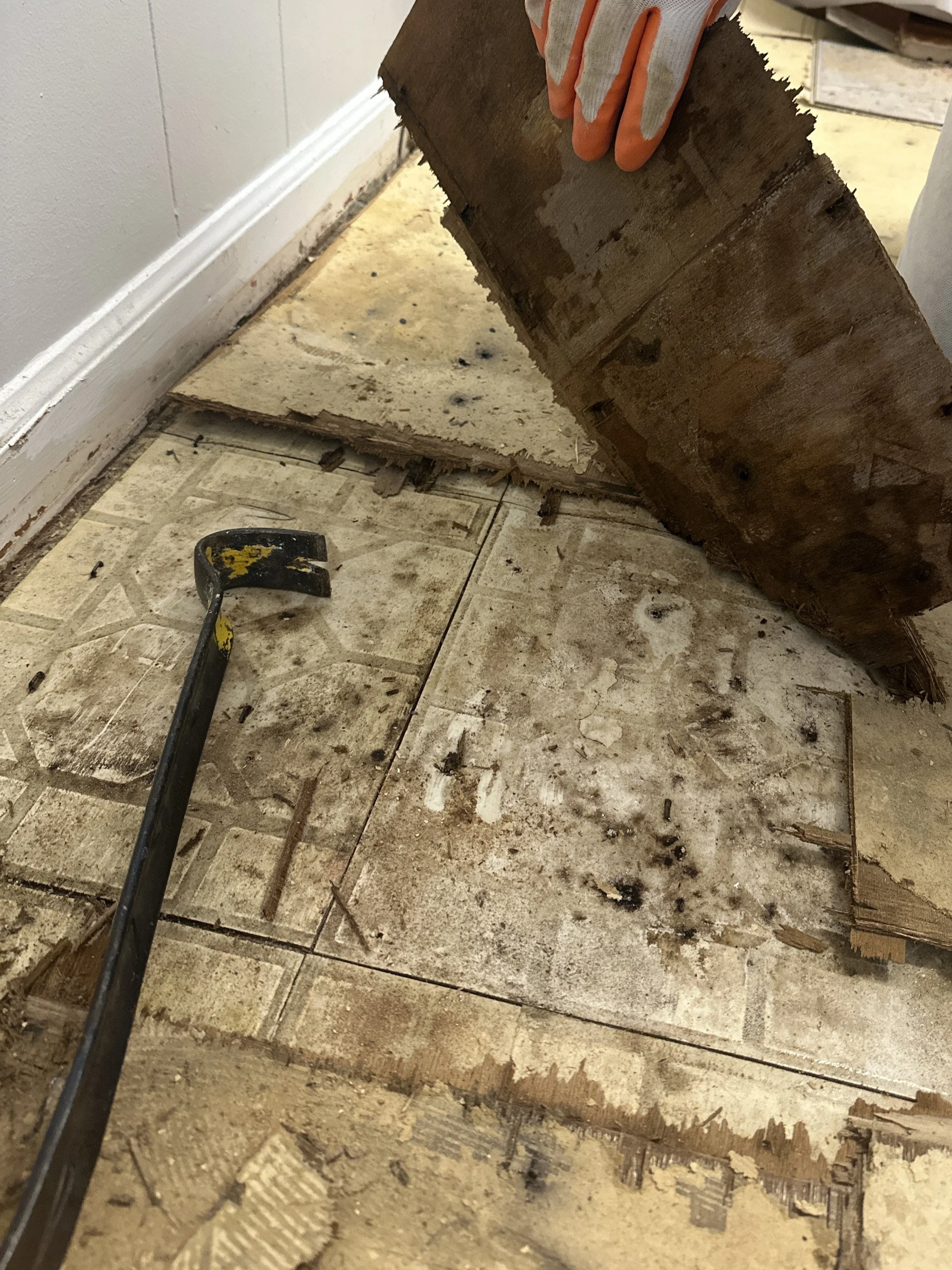 water damage is just the beginning