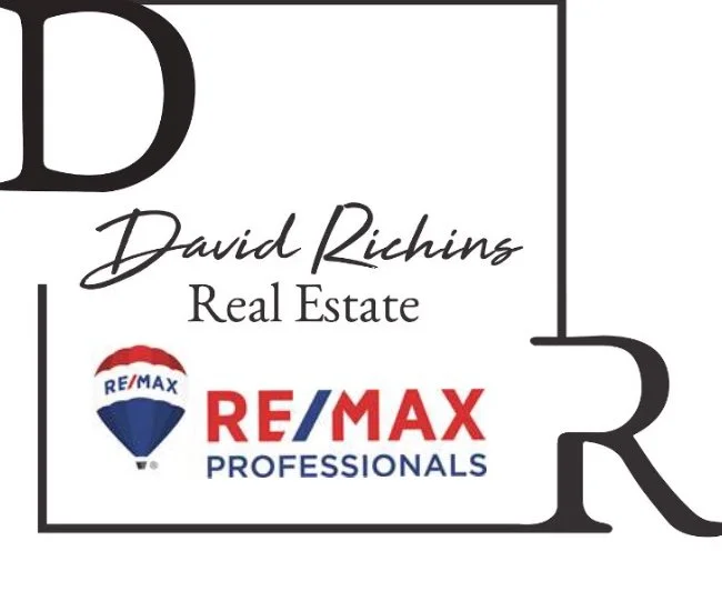 Business card for David Richins Real Estate and RE/MAX Professionals, featuring logos and signature style font.