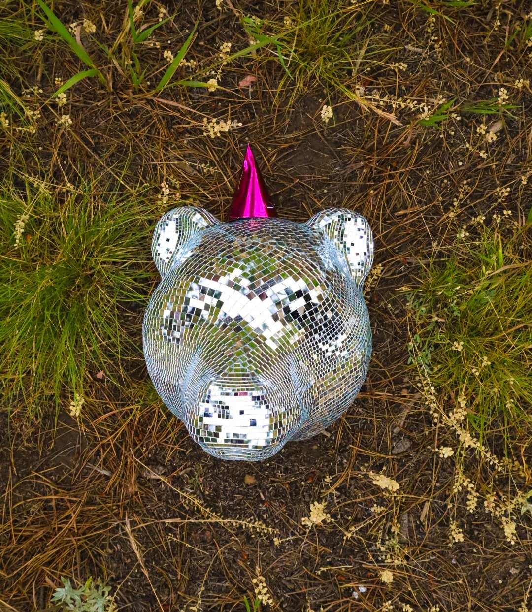 disco bear