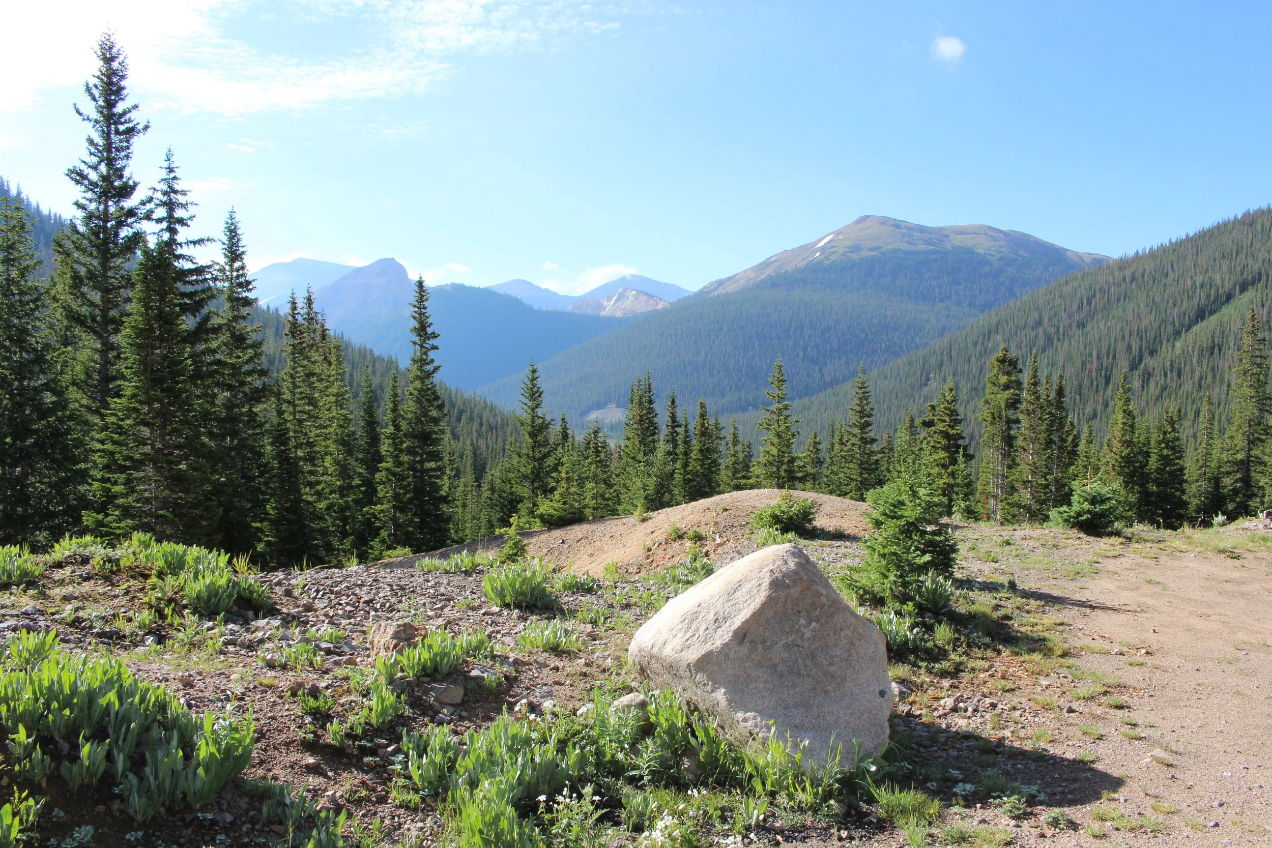 Mountain landscape with green pine trees, rocky terrain, and a dirt path under a clear blue sky.