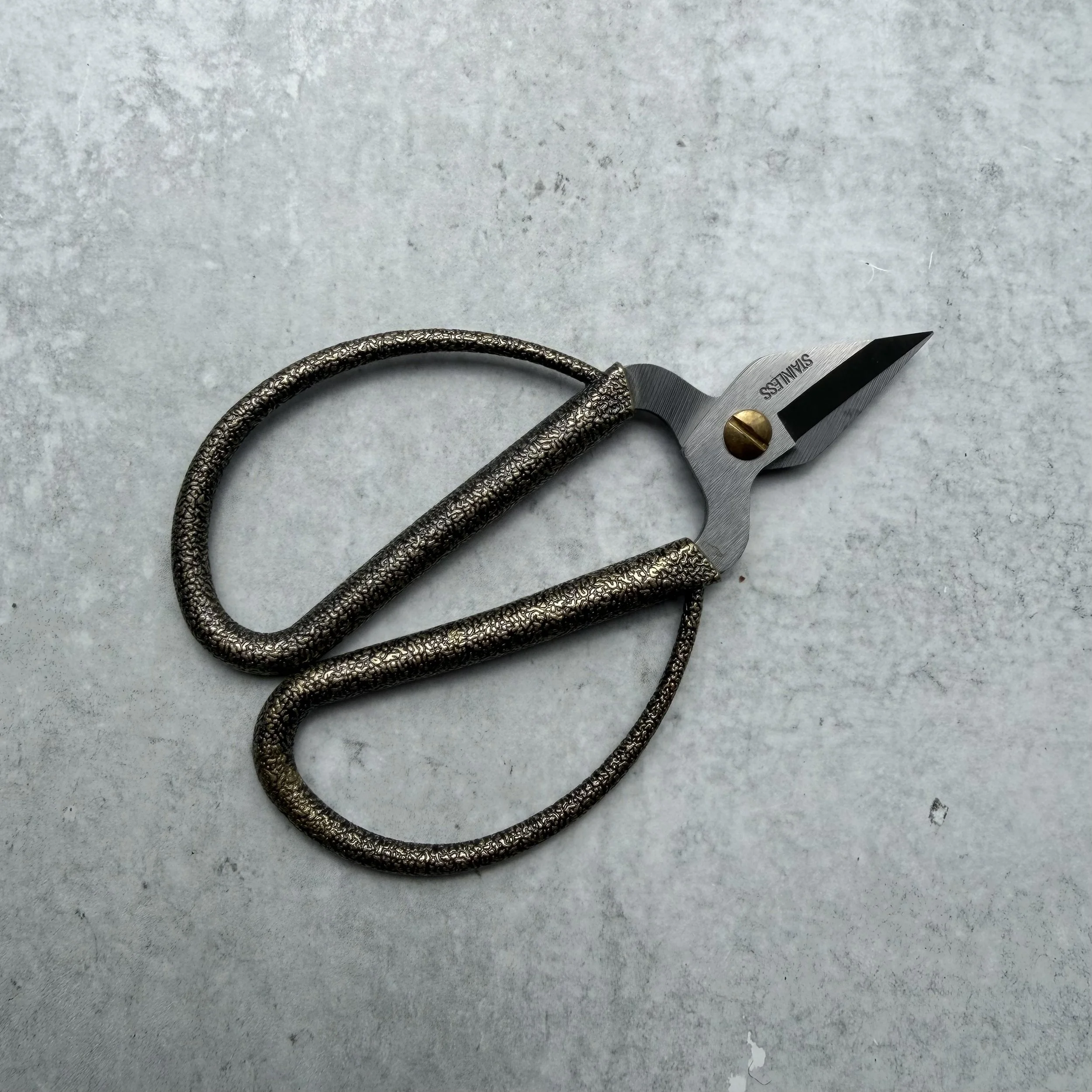 Mottled Scissors