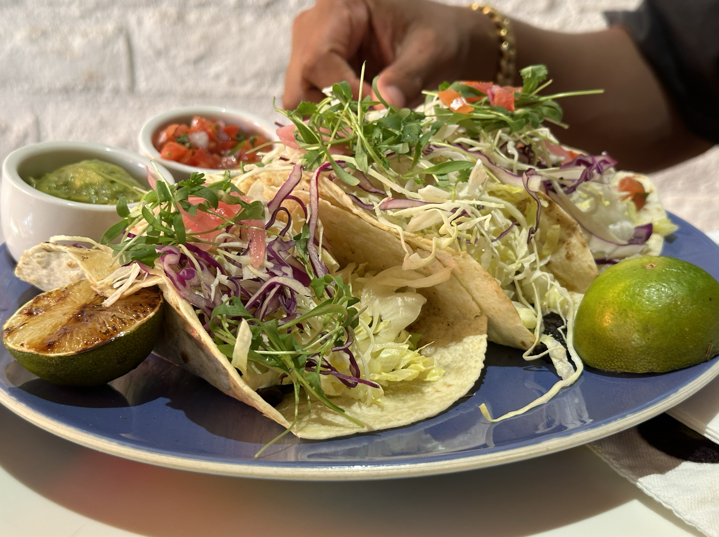  The vegan tacos at Norm's mad with mushrooms. 