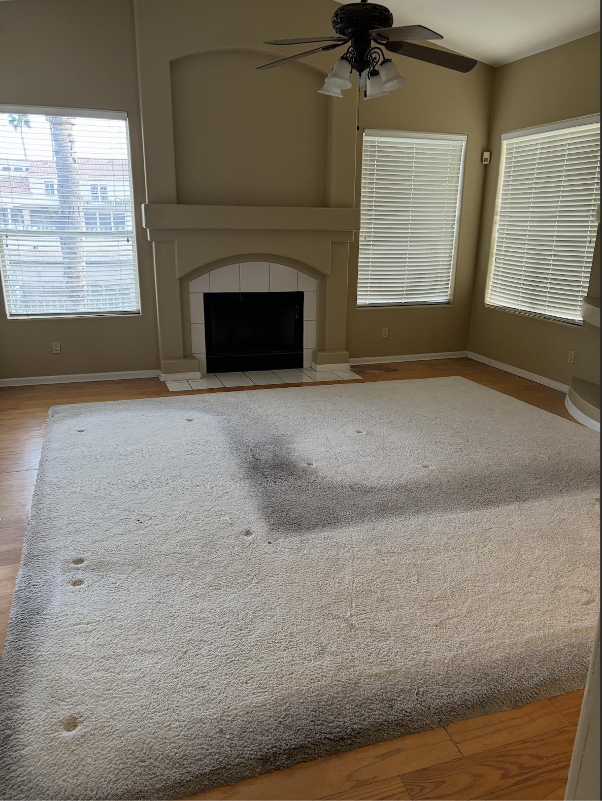 Living Room Before