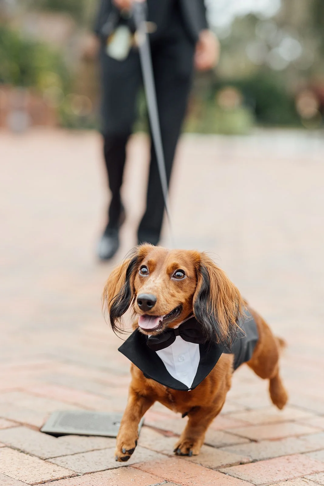 Tayler + Alex - Lillie Shawn Imagery -299.jpg