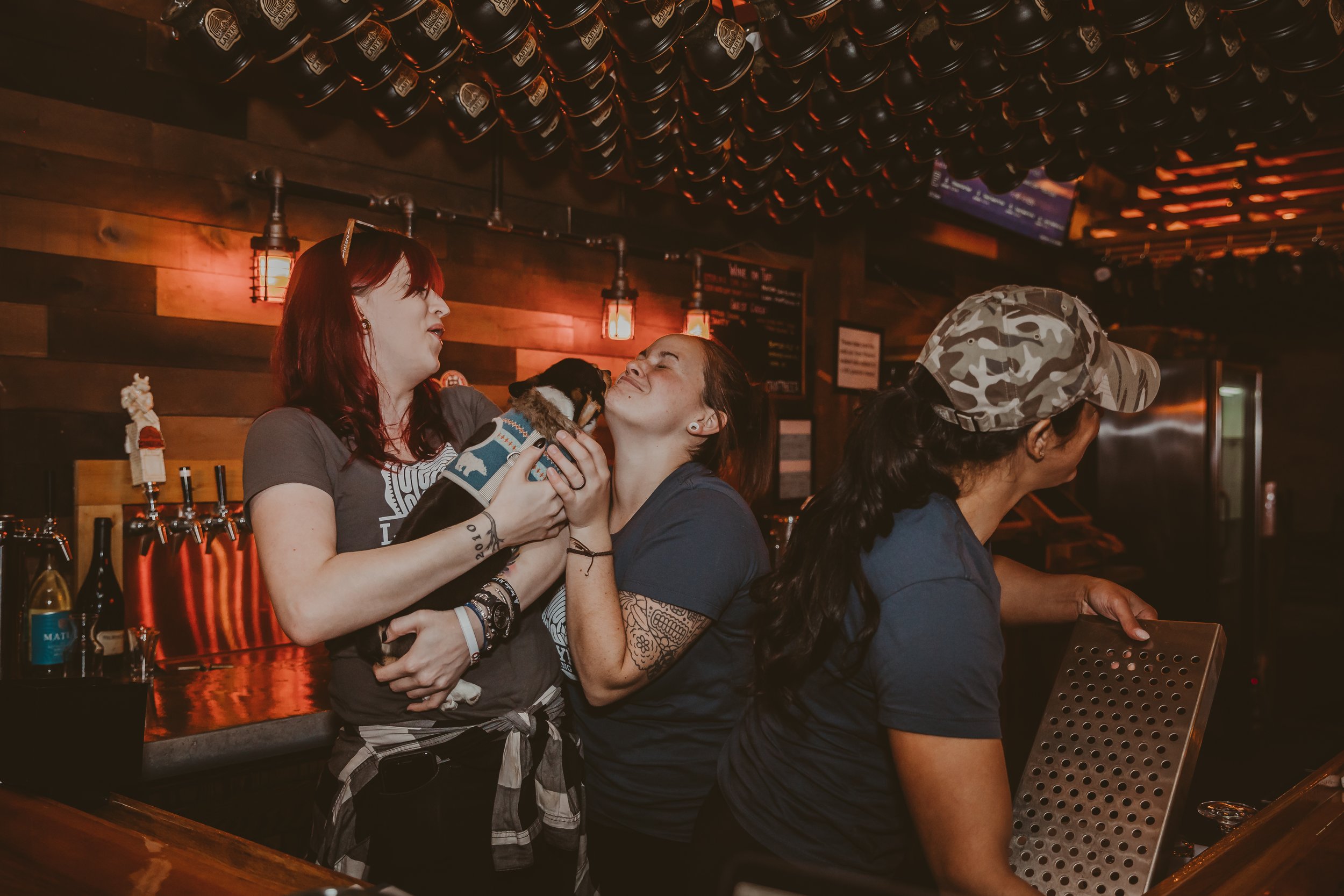 Two women at a bar holding a small dog, engaging with each other, with bartender working behind the counter.