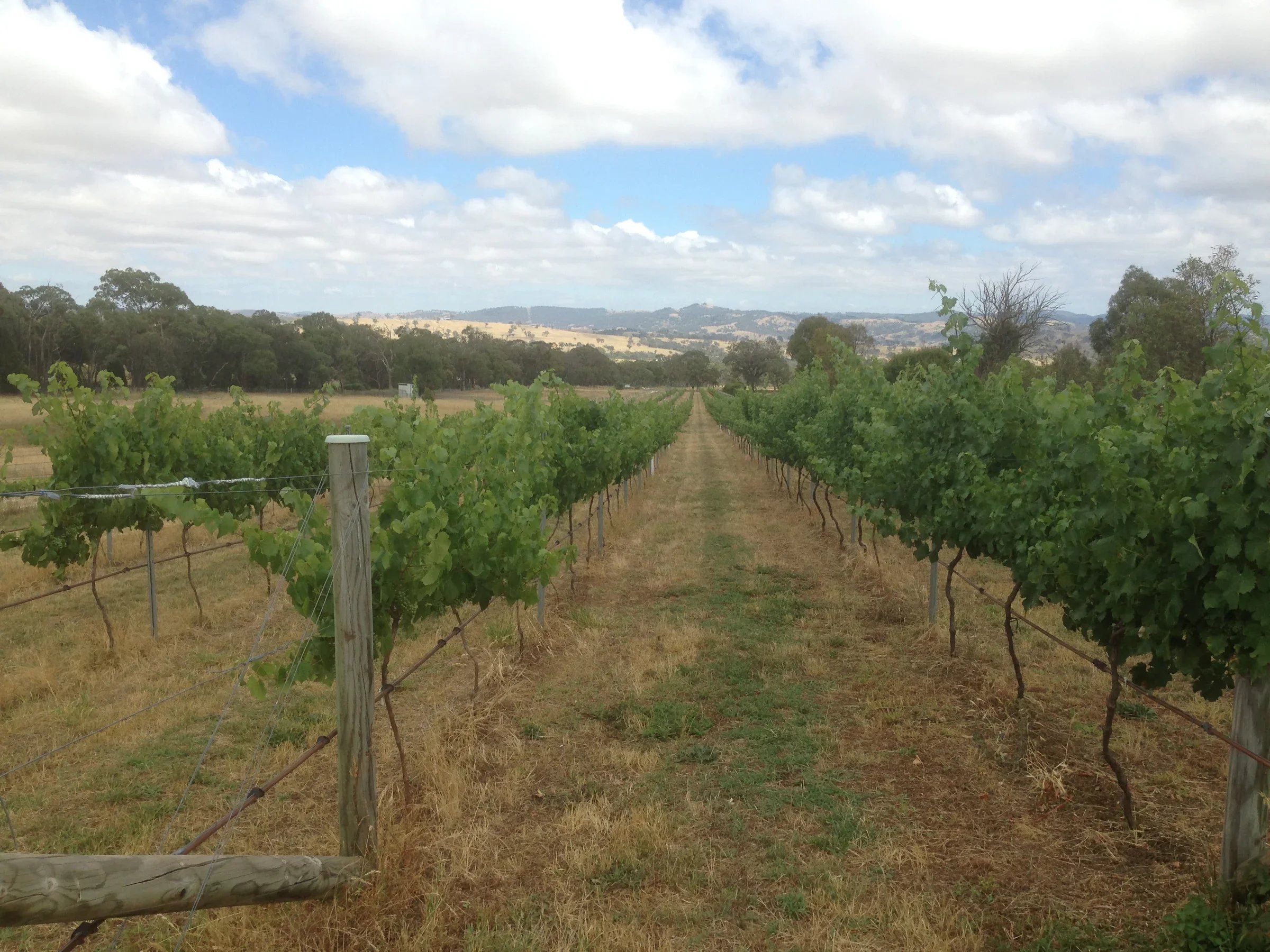 2015-12-17 10.40.28-1.webp