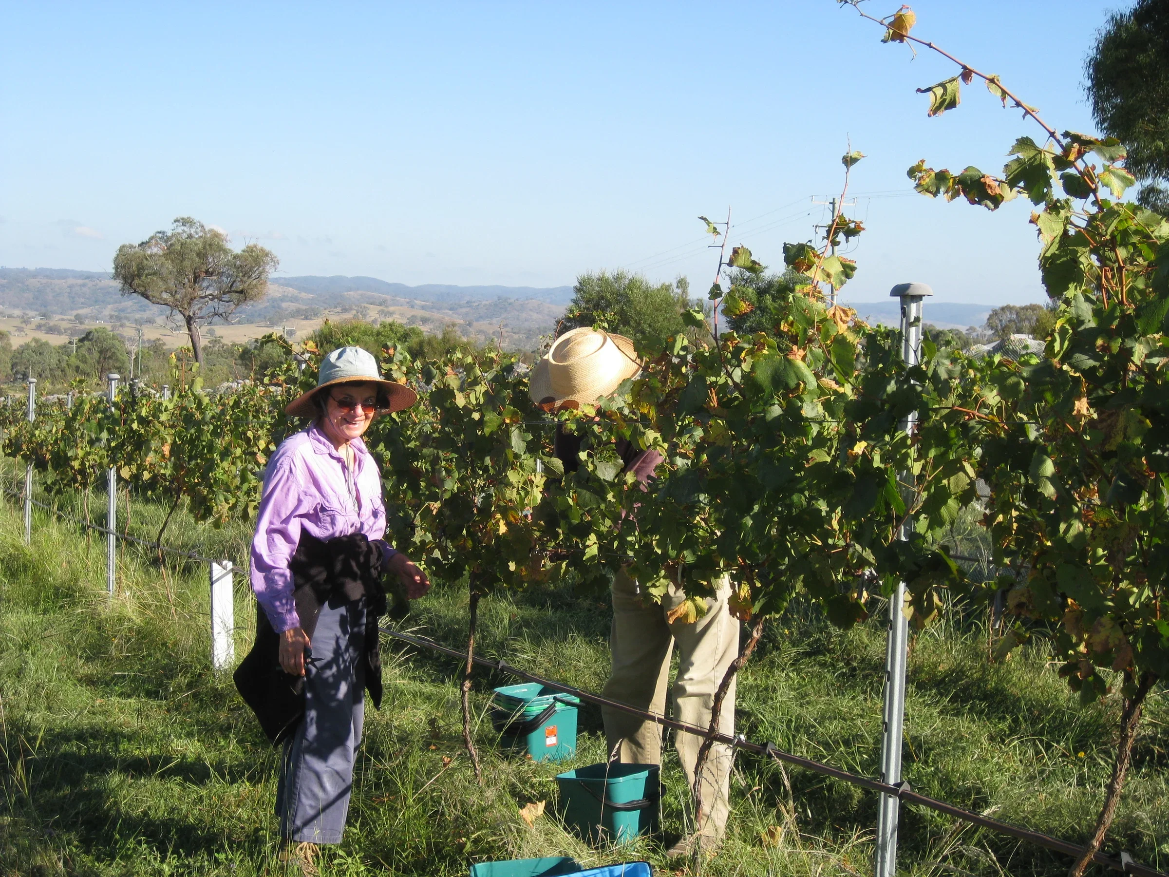 2016-02-27 07.57.51.webp