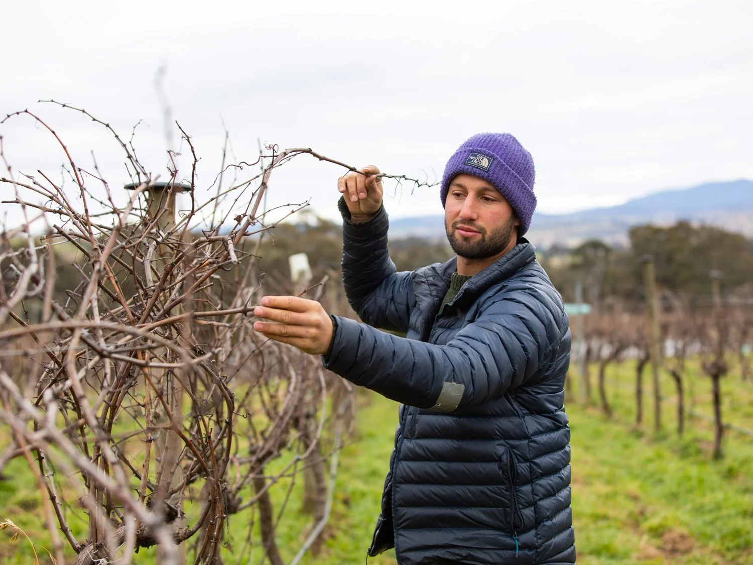Sam-Renzaglia-in-vineyard-2.jpg