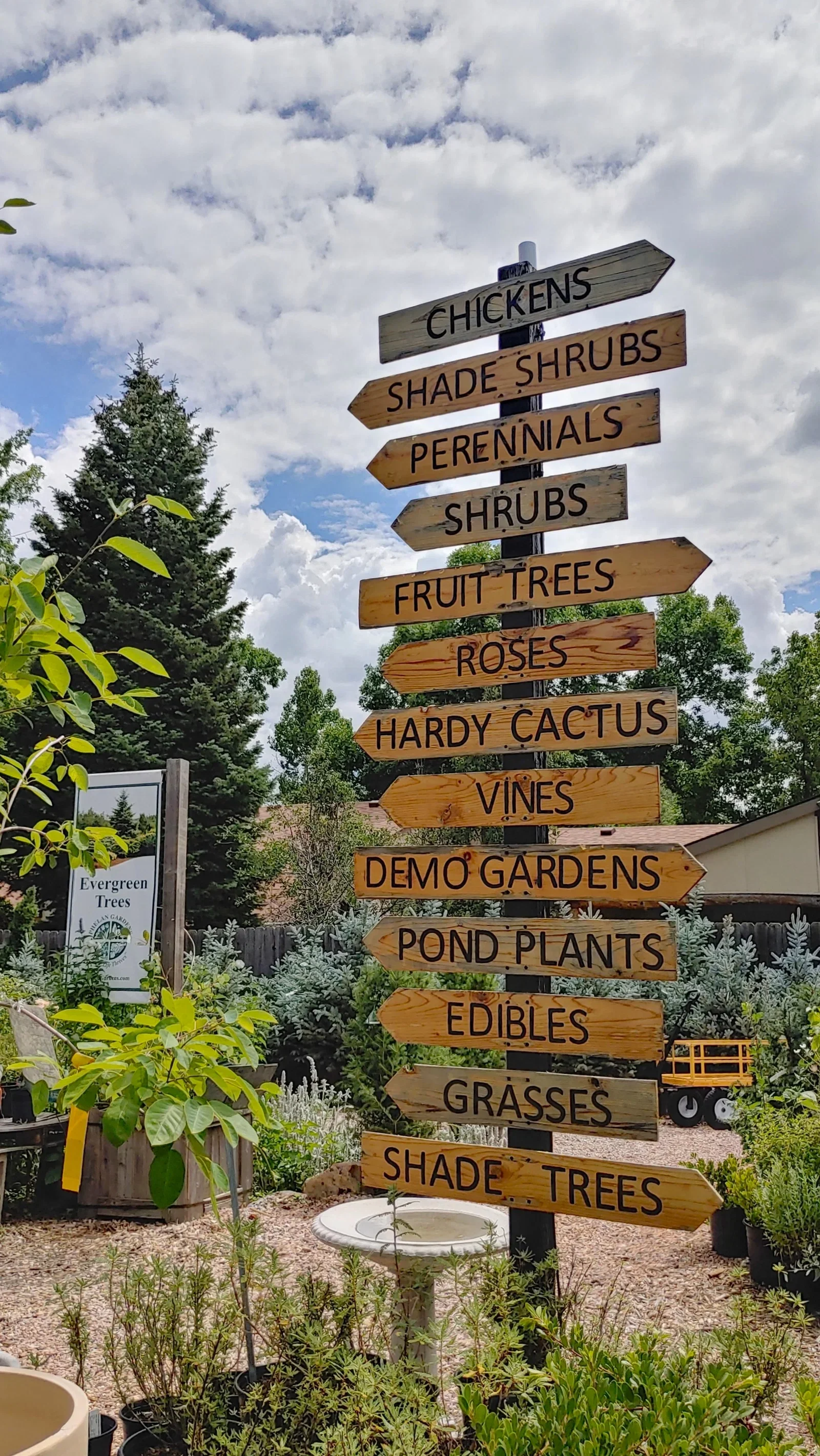 Nursery Crawl & Bonsai Challenge