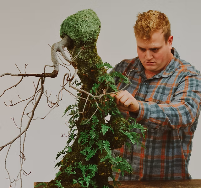 Bonai Artist Andrew Robson working with a deciduous tree.