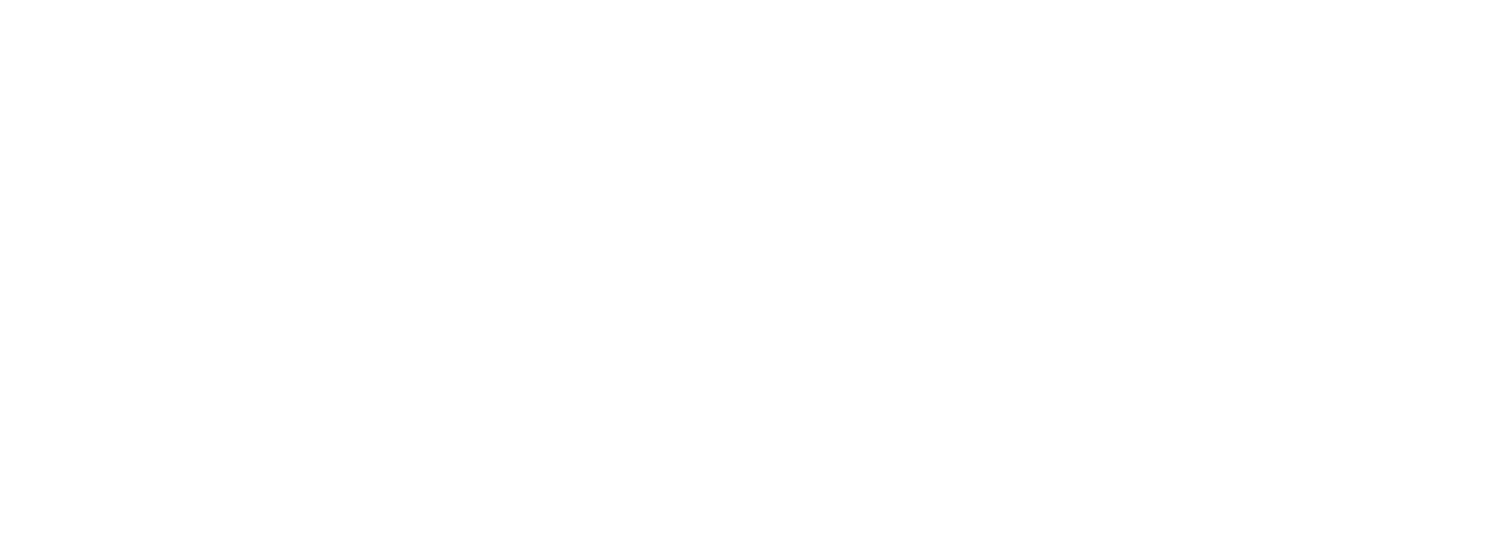 ARTISAN