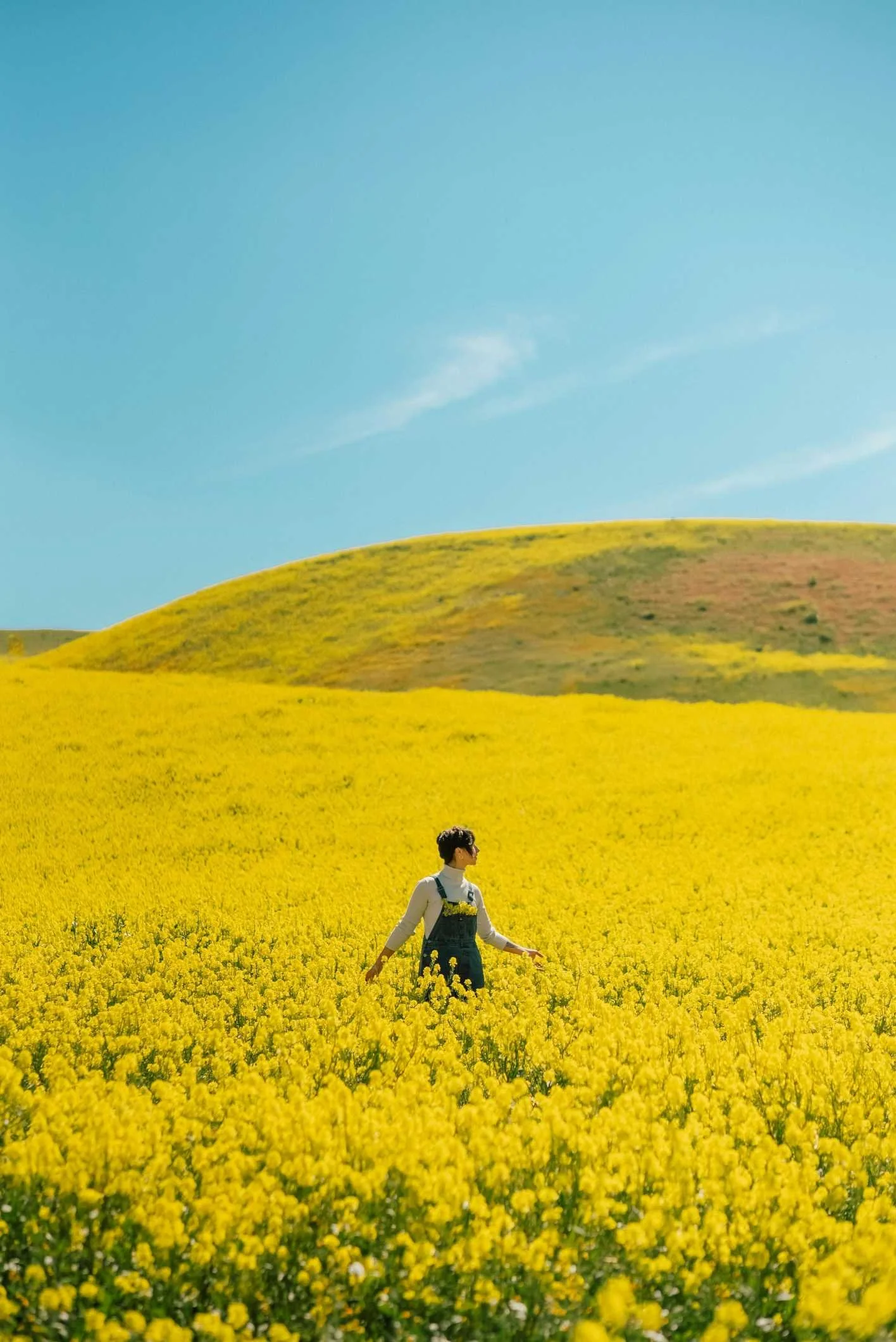 Trauma Therapy San Francisco. Woman in field of yellow flowers photo.