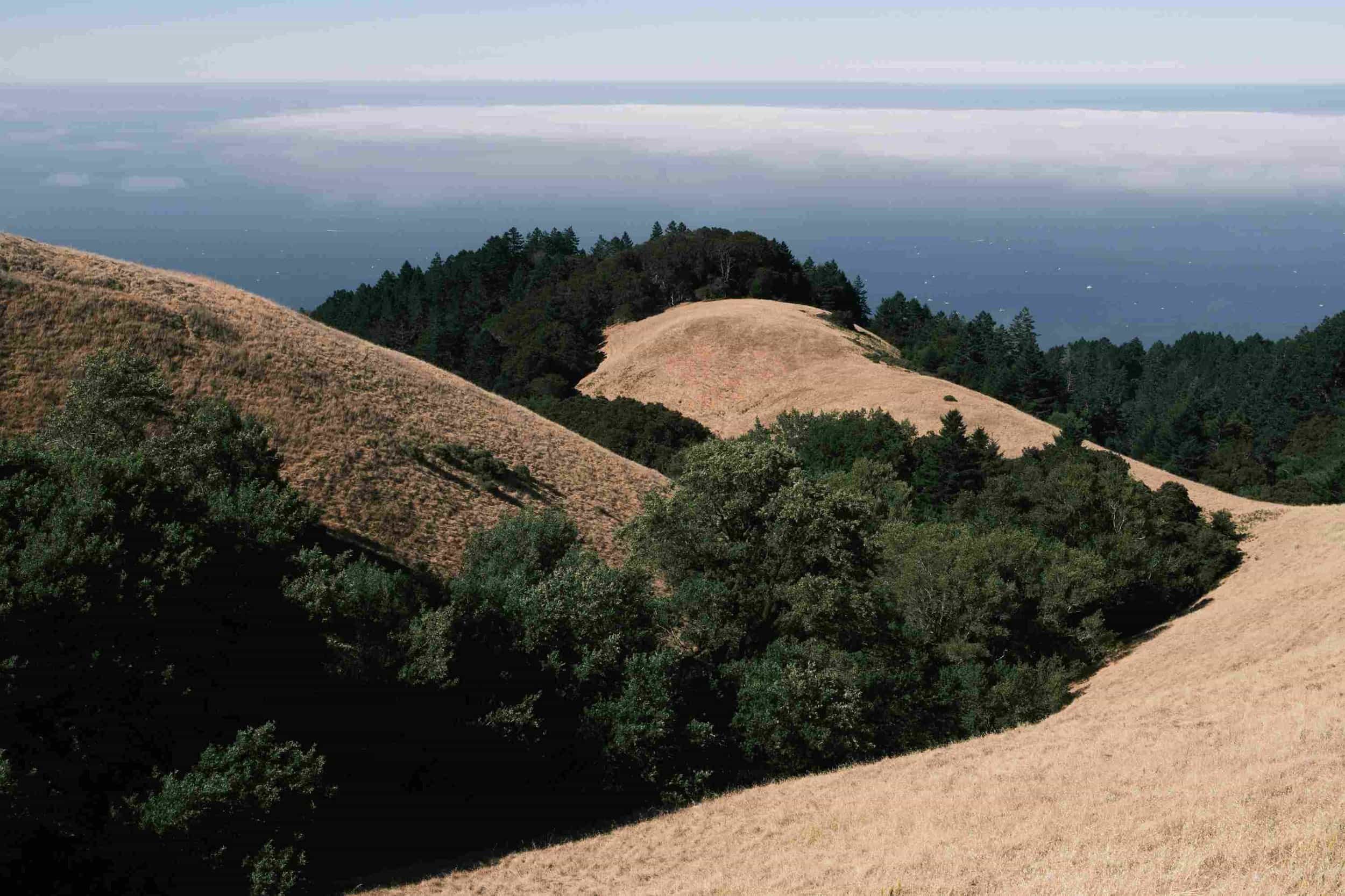 EMDR therapist San Francisco. Coastal hills image.