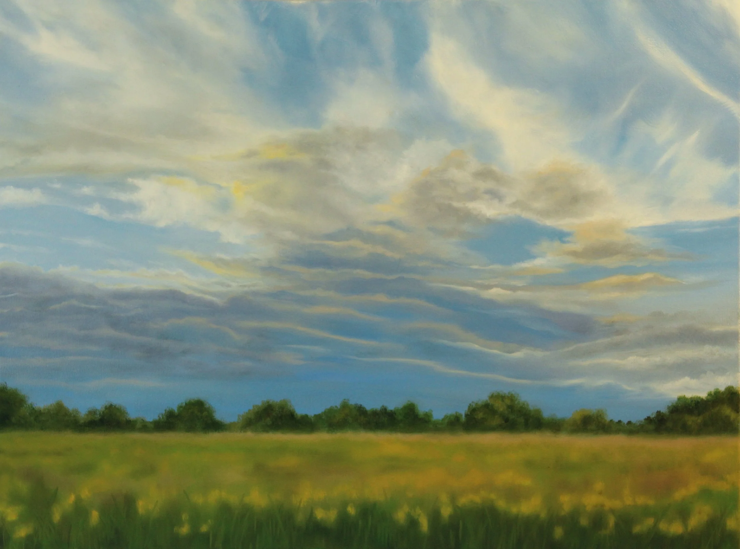 Sunset on Elm Street/18x24/oil on canvas/2025