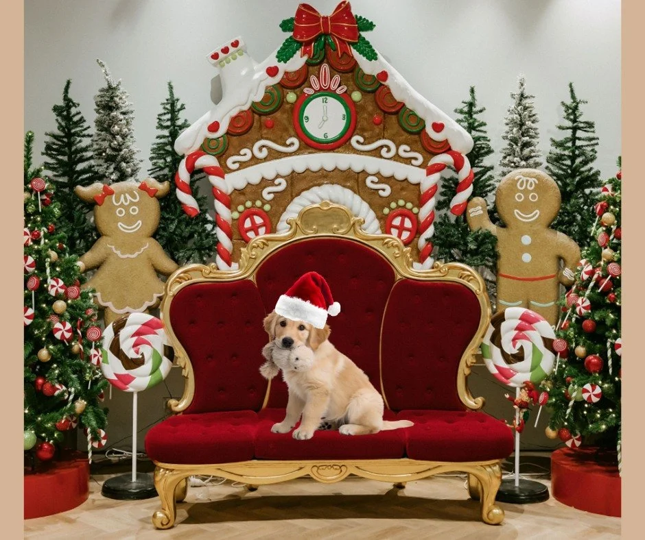 Santa’s bells are ringing 