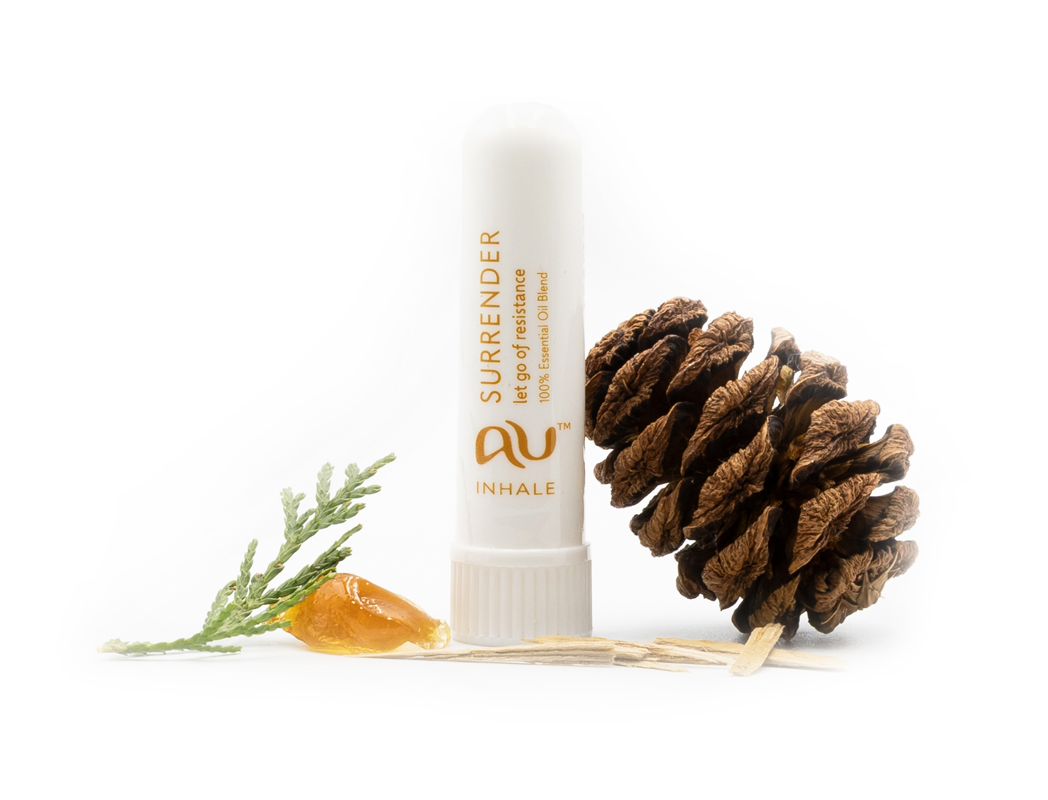 The Surrender Essential Oil inhaler is arranged on a white background surrounded by its ingredients - fruit, herbs and spices.