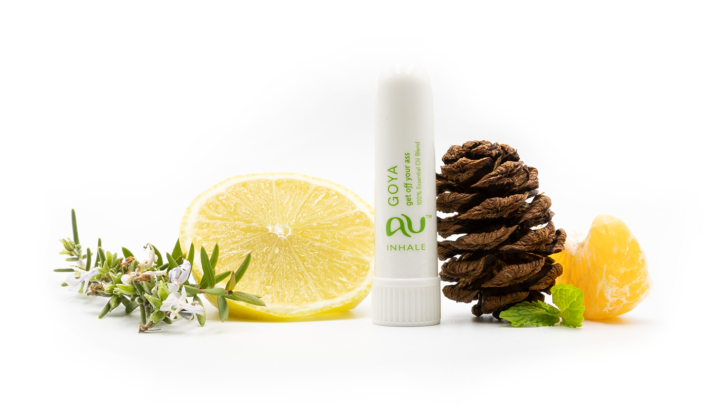 The GOYA Essential Oil inhaler is arranged on a white background surrounded by its ingredients - fruit, herbs and spices.