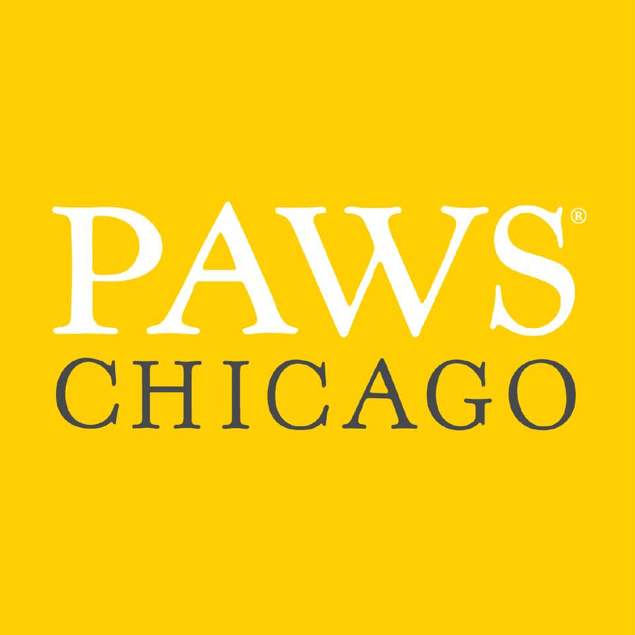 PAWS CHICAGO – SAFE Electrical loves our furry friends and is proud to support PAWS Chicago, donating $1,500 annually to the Midwest’s largest no-kill animal welfare organization. Since 1997, PAWS Chicago has helped reduce Chicago’s euthanasia rate b